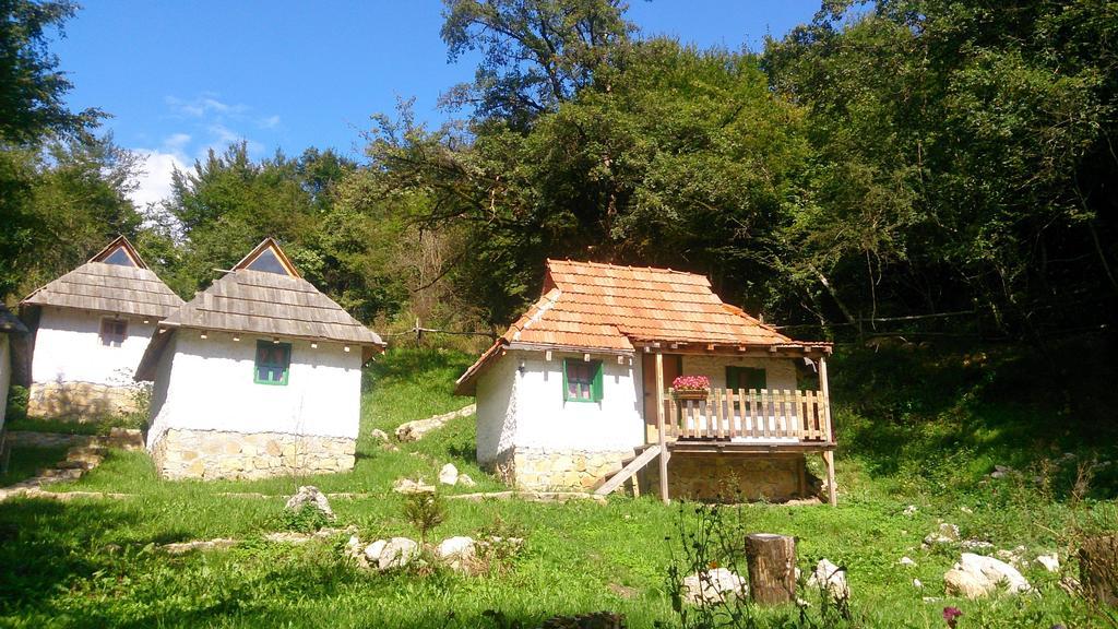 Hotel Camp Divlja Rijeka Hum Esterno foto